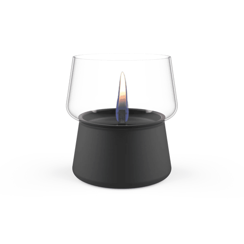 TENDERFLAME|AMARYLLIS 10