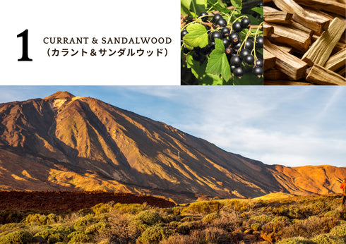 LABEL|リードディフューザー 100ml