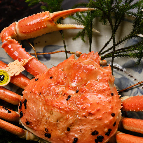 越前「蟹の本陣」|越前がに【極落ち】(浜茹で)【1.5kg~】