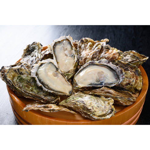 廣島料理専門酔心/牡蠣の土手鍋セット(4人前)