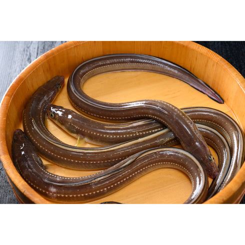 廣島料理専門酔心/釜めし「穴子」2合炊き用 【出汁・穴子】