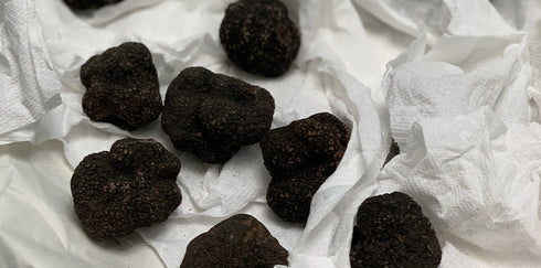 FRESH TRUFFLE JAPAN|【冷凍トリュフ100gパック】COLD SLEEP TRUFFLE