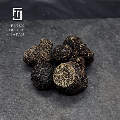 FRESH TRUFFLE JAPAN|【冷凍トリュフ100gパック】COLD SLEEP TRUFFLE