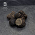 FRESH TRUFFLE JAPAN|【冷凍トリュフ100gパック】COLD SLEEP TRUFFLE