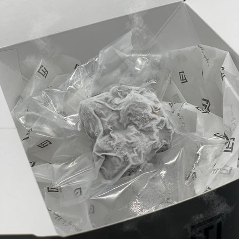 FRESH TRUFFLE JAPAN|【冷凍トリュフ100gパック】COLD SLEEP TRUFFLE