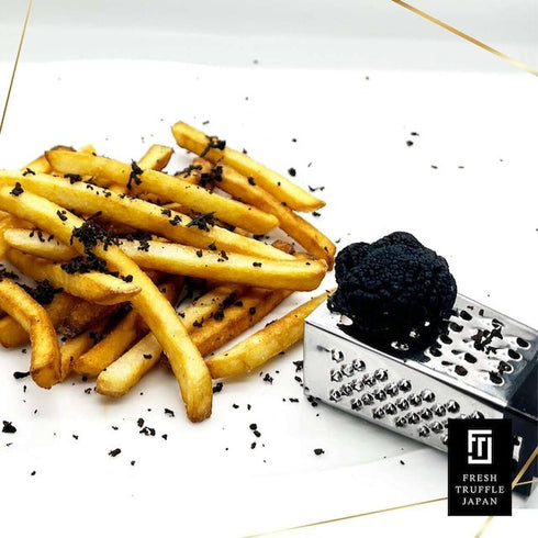 FRESH TRUFFLE JAPAN|【冷凍トリュフ100gパック】COLD SLEEP TRUFFLE