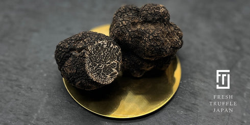 FRESH TRUFFLE JAPAN|トリュフギフト5点セット【桐箱入り】