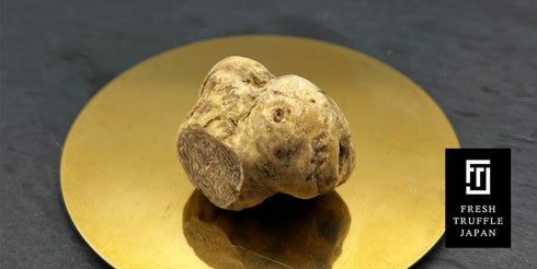 FRESH TRUFFLE JAPAN|白トリュフ醤油とトリュフオイルのセット【化粧箱入り】