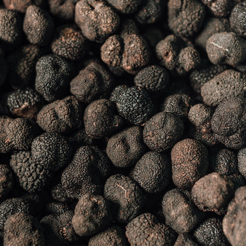 FRESH TRUFFLE JAPAN|プリザーブド黒トリュフ【化粧箱入り】