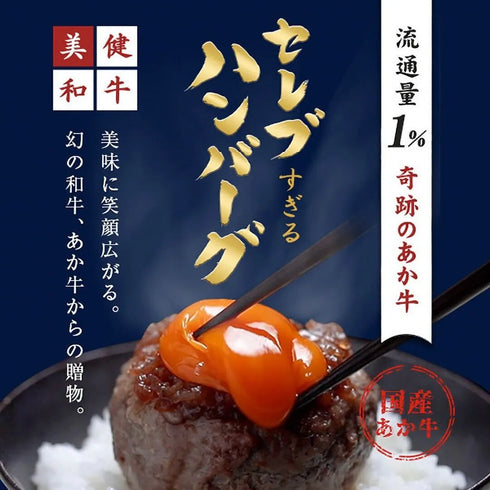 和牛セレブ|あか牛(和牛)ハンバーグステーキ5個