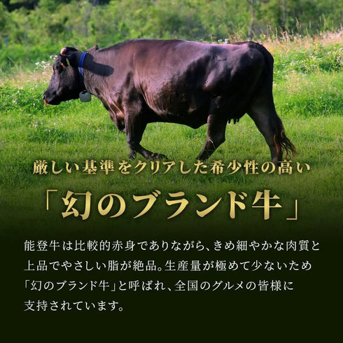 和牛セレブ|能登牛焼肉セット2段重