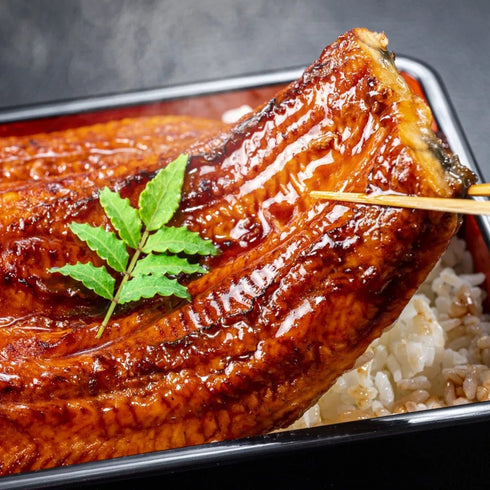 和牛セレブ|鹿児島うなぎ蒲焼1枚+黒毛和牛A5赤身焼肉200g