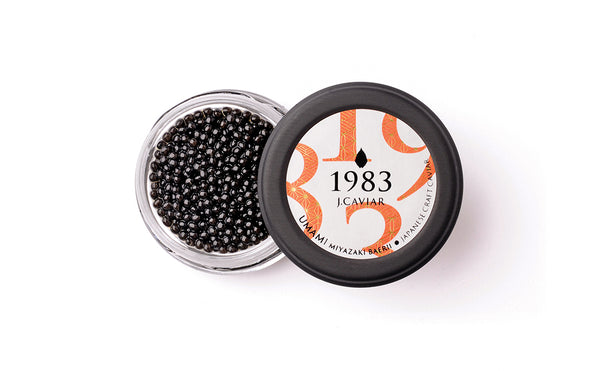 JAPAN CAVIAR|宮崎キャビア1983 バエリ旨味(20g)