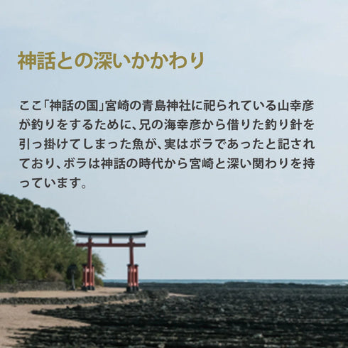 JAPAN CAVIAR|宮崎県産 本からすみ 一腹 (約200g)