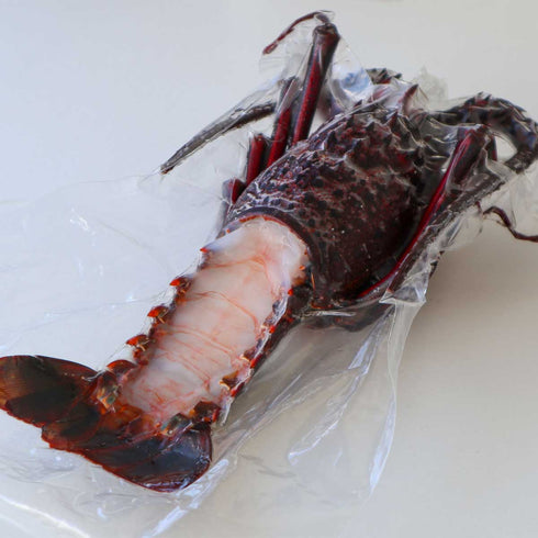 JAPAN CAVIAR|伊勢海老(むき身殻付き)450g〜500g