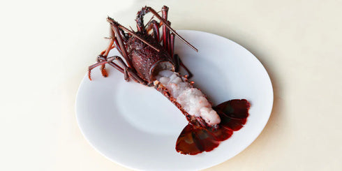 JAPAN CAVIAR|伊勢海老(むき身殻付き)450g〜500g