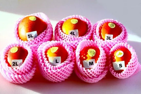 白銀の太陽 | 白銀の太陽プレミアム 2Lサイズ