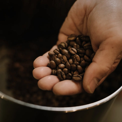 The fin.|世界最高峰の希少コーヒー飲み比べセット|セントヘレナ・ワイルドコピルアック・パナマゲイシャ