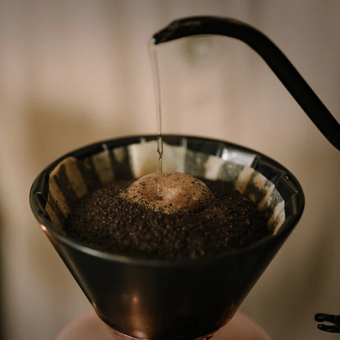 The fin.|世界最高峰の希少コーヒー飲み比べセット|セントヘレナ・ワイルドコピルアック・パナマゲイシャ