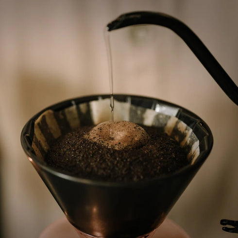 The fin.|【超希少】ハワイ島 コナ エクストラファンシー キャスタベイウェイ農園