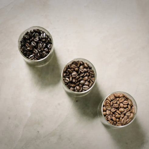 The fin.|世界最高峰の希少コーヒー飲み比べセット|セントヘレナ・ワイルドコピルアック・パナマゲイシャ