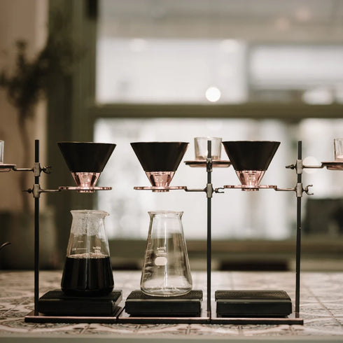 The fin.|世界最高峰の希少コーヒー飲み比べセット|セントヘレナ・ワイルドコピルアック・パナマゲイシャ