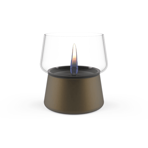 TENDERFLAME|AMARYLLIS 10