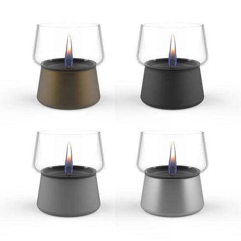 TENDERFLAME|AMARYLLIS 10