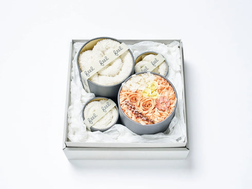 育てるタオル|feel DECOR L マリー+タオル3サイズ