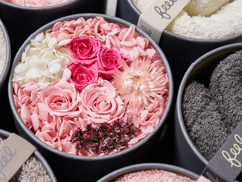 育てるタオル|feel DECOR L アメリ+タオル3サイズ