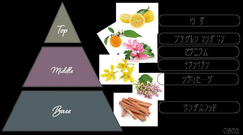 Nama candle|「ブルーミングガーデン 」 8点ギフトセット