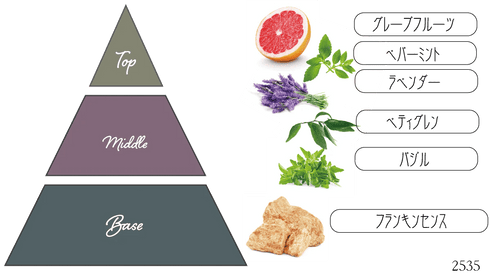 Nama candle|「森の精霊たち」 8点ギフトセット