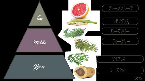 Nama candle|「シャイニングサン Shining sun」 8点ギフトセット