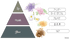 Nama candle|「ノスタルジー 懐かしい思い出」ギフト8点セット
