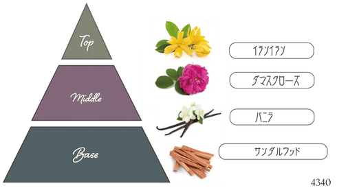 Nama candle/生キャンドル|「テンプテーション 魅惑の香り」 ギフト8点セット