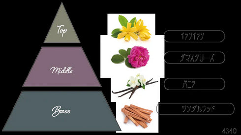 Nama candle/生キャンドル|「テンプテーション 魅惑の香り」 ギフト8点セット