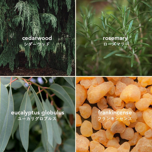 TADAIMA AROMA|GIFT SET - 01 smoky wood 10ml & wood aroma dish & necessary PLATE【ショップ袋付】