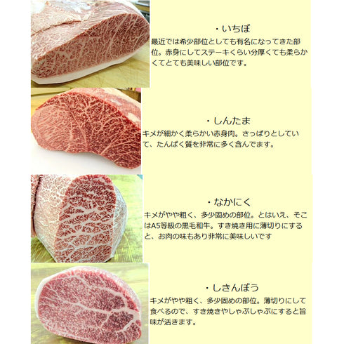 伊勢重|手切り和牛 上しゃぶしゃぶ折