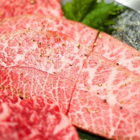 MEAT PLUS|【厳選希少部位】【A4~A5】九州産黒毛和牛ミスジステーキ (300g・500g・1kg)