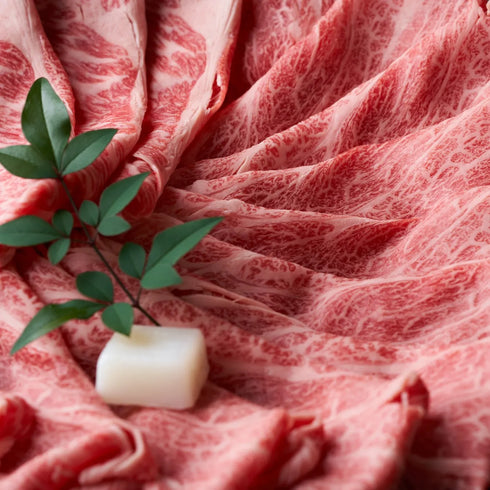 【A4~A5】九州産黒毛和牛赤身霜降りしゃぶしゃぶすき焼き用(400g・600g・800g・1.2kg)