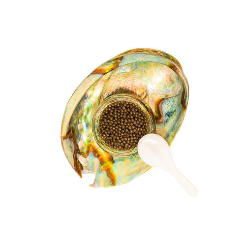 NEXORA|NEXORA CASPIAN CAVIAR | カスピ海ベルーガキャビア (15g)