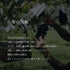 山梨果実|【スタンダードライン】果汁100% 最高級ぶどうジュース(3種・3本セット)