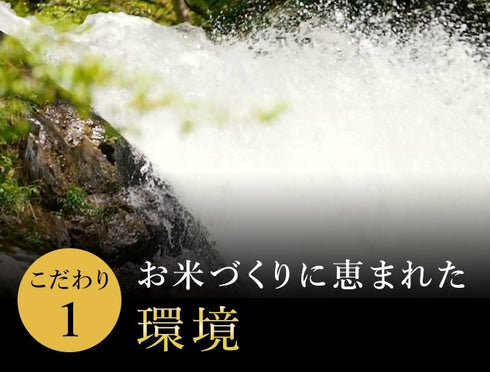 雪椿|令和7年産新米 最高級魚沼産コシヒカリ「雪椿」10kg