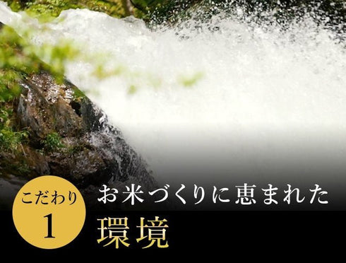 雪椿|令和7年産新米 最高級魚沼産コシヒカリ「雪椿」10kg