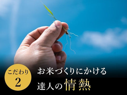雪椿|令和7年産新米 最高級魚沼産コシヒカリ「雪椿」10kg