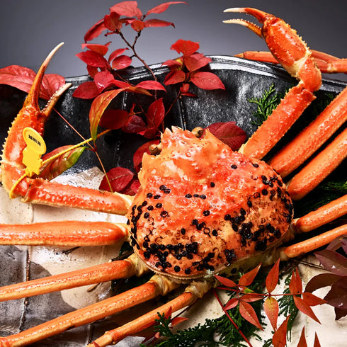 越前「蟹の本陣」|越前がに(浜茹で)【1.4kg〜】