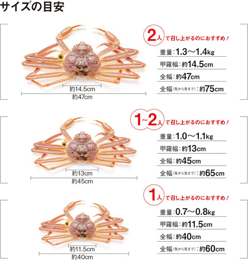越前「蟹の本陣」|越前がに(浜茹で)【1.4kg〜】