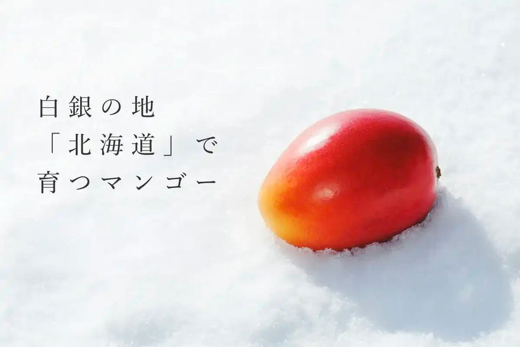 真冬に実る奇跡の果実。「白銀の太陽」新ブランド公開【予約受付中】