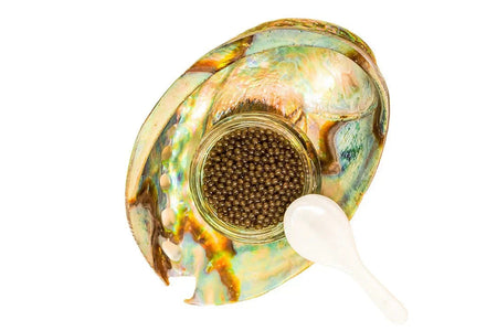 15〜20年の時を食す、カスピ海の奇跡。「NEXORA」最高級ベルーガキャビア、解禁