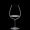 RIEDEL｜＜ヴィノム＞ニューワールド ピノ・ノワール2脚セット